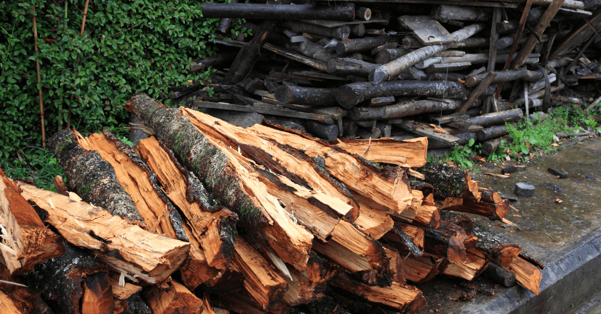 Wet firewood